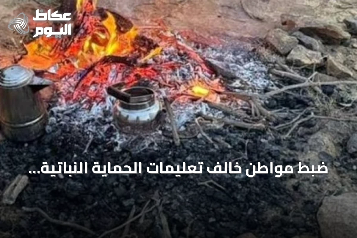 ضبط مواطن خالف تعليمات الحماية النباتية بإشعال نار في غير المناطق المخصصة بمحمية الإمام بن تركي الملكية