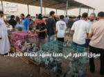 سوق الطيور في صبيا يشهد نشاطاً متزايداً مع بدء الإجازة الصيفية