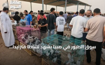 سوق الطيور في صبيا يشهد نشاطاً متزايداً مع بدء الإجازة الصيفية