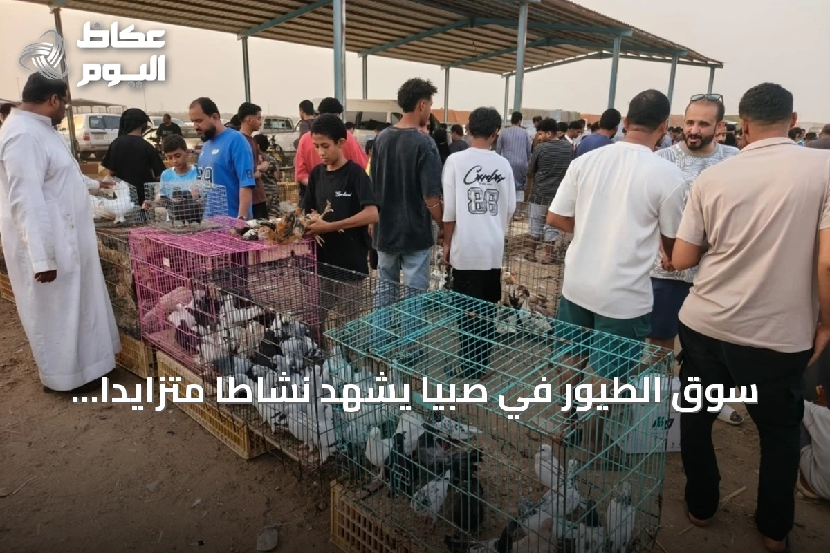 سوق الطيور في صبيا يشهد نشاطاً متزايداً مع بدء الإجازة الصيفية