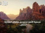محمية الأمير محمد بن سلمان الملكية تحتفل بتسجيل 50 ألف دورية بيئية