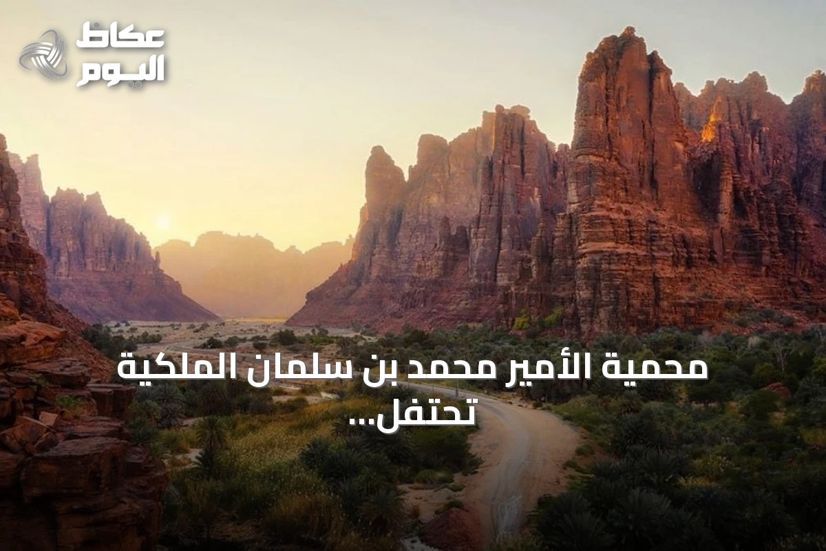 محمية الأمير محمد بن سلمان الملكية تحتفل بتسجيل 50 ألف دورية بيئية