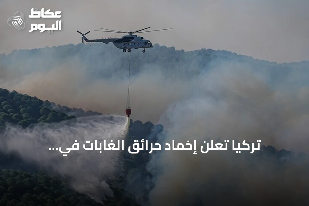 تركيا تعلن إخماد حرائق الغابات في باليكسير وتشناق قلعة وأنطاليا