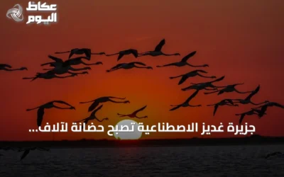 جزيرة غديز الاصطناعية تصبح حضانة لآلاف فراخ الفلامنغو في إزمير