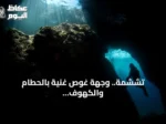 تششمة.. وجهة غوص غنية بالحطام والكهوف تجذب هواة الاستكشاف