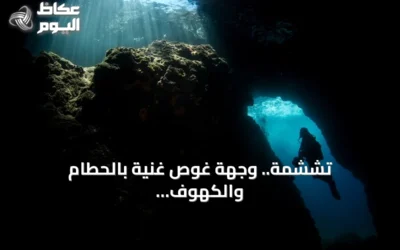 تششمة.. وجهة غوص غنية بالحطام والكهوف تجذب هواة الاستكشاف