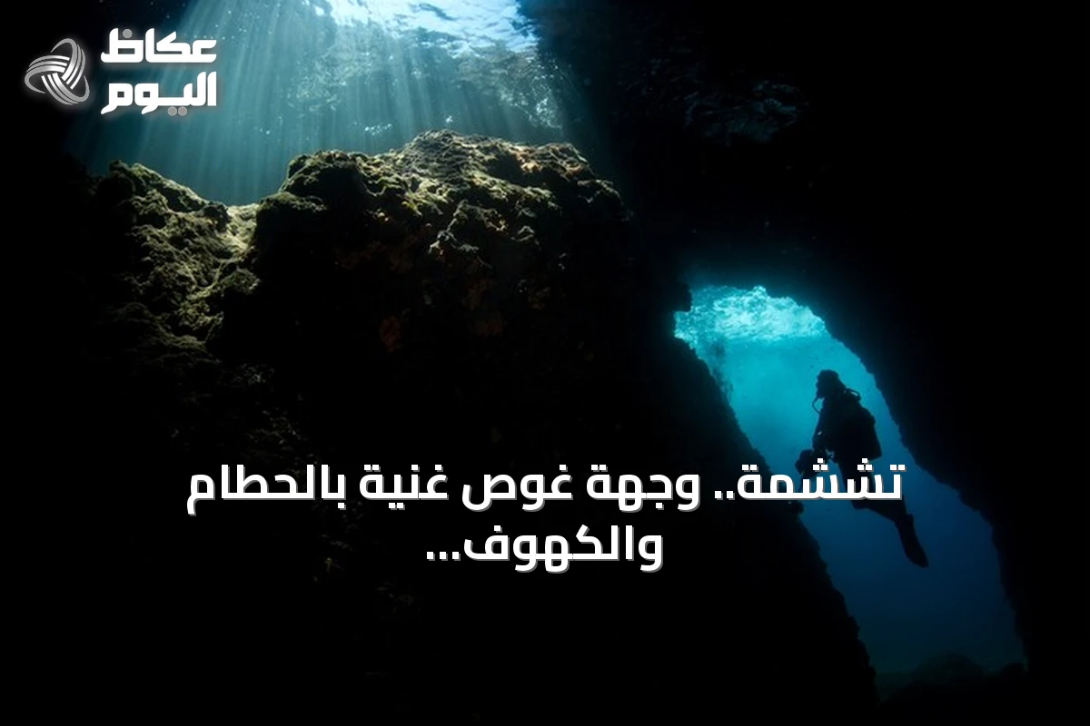 تششمة.. وجهة غوص غنية بالحطام والكهوف تجذب هواة الاستكشاف