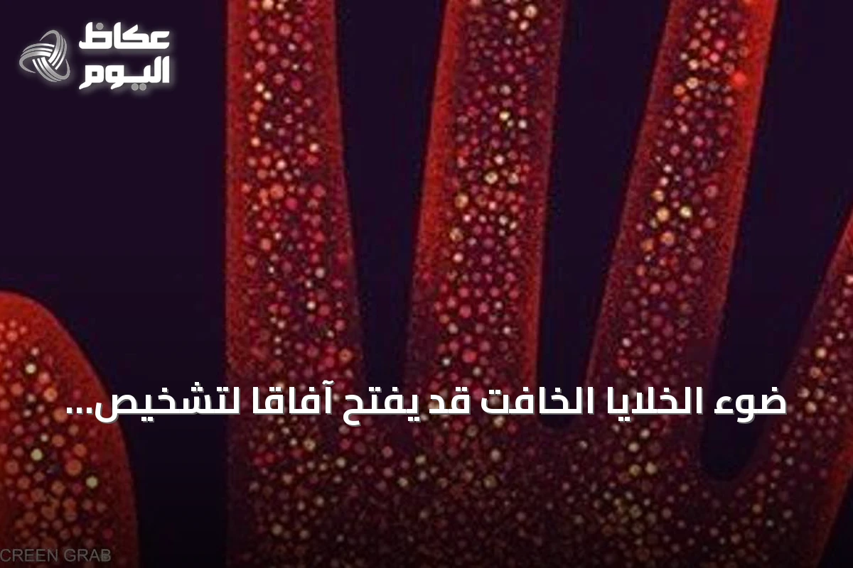ضوء الخلايا الخافت قد يفتح آفاقاً لتشخيص الأمراض