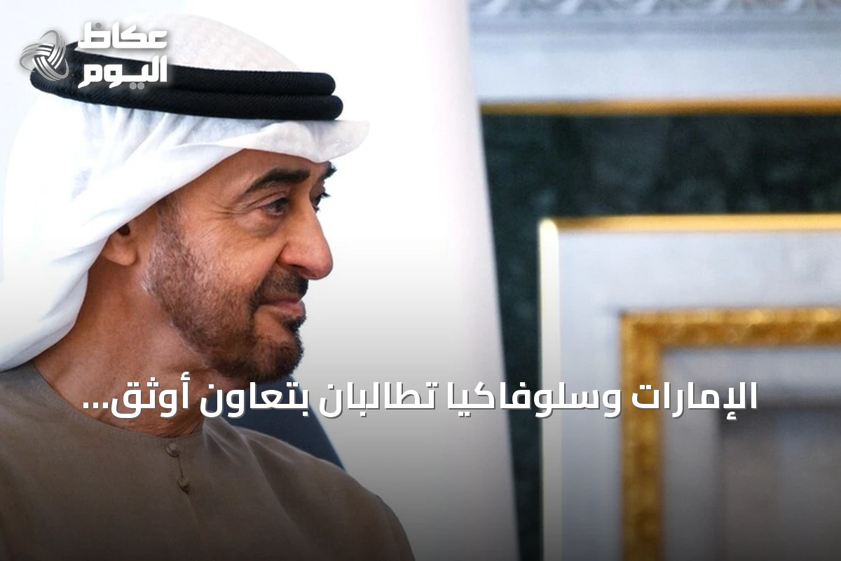 الإمارات وسلوفاكيا تطالبان بتعاون أوثق لضمان سلامة الملاحة في مضيق هرمز