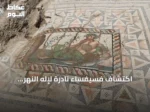 اكتشاف فسيفساء نادرة لإله النهر “يوريميدون الفتي” في أسبندوس بتركيا