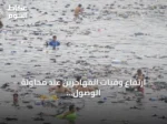 ارتفاع وفيات المهاجرين عند محاولة الوصول إلى سبتة إلى 57