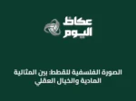 الصورة الفلسفية للقطط: بين المثالية المادية والخيال العقلي