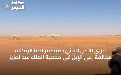 قوى الأمن البيئي تضبط مواطنًا لارتكابه مخالفة رعي الإبل في محمية الملك عبدالعزيز