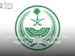 ضبط شبكة إجرامية لتهريب المخدرات في الرياض والقبض على 22 متهمًا