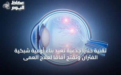 تقنية خلايا جذعية تعيد بناء أوعية شبكية الفئران وتفتح آفاقاً لعلاج العمى