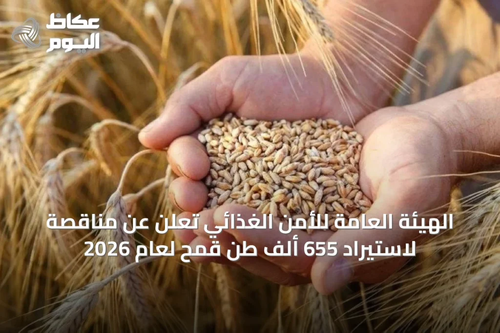 الهيئة العامة للأمن الغذائي تعلن عن مناقصة لاستيراد 655 ألف طن قمح لعام 2026