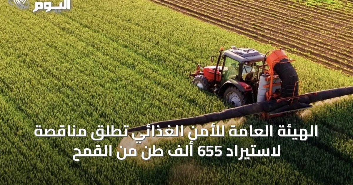 الهيئة العامة للأمن الغذائي تطلق مناقصة لاستيراد 655 ألف طن من القمح