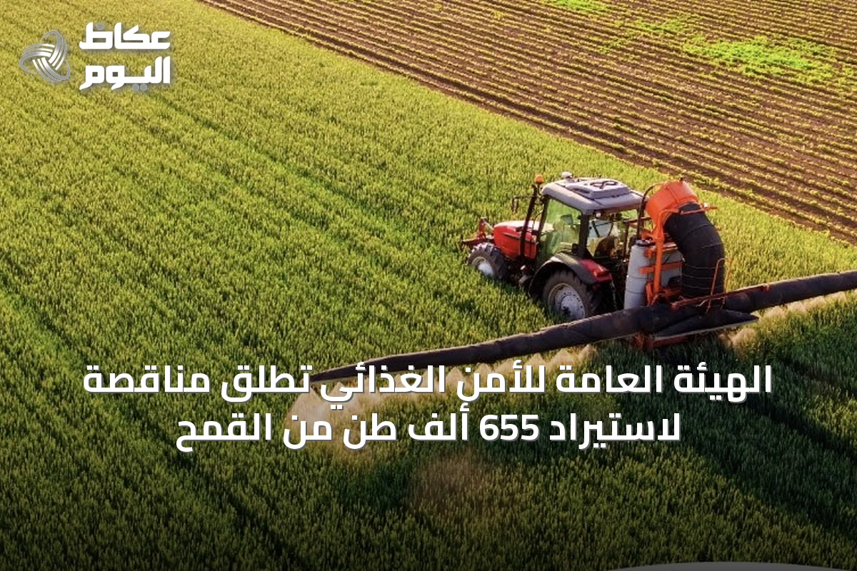 الهيئة العامة للأمن الغذائي تطلق مناقصة لاستيراد 655 ألف طن من القمح