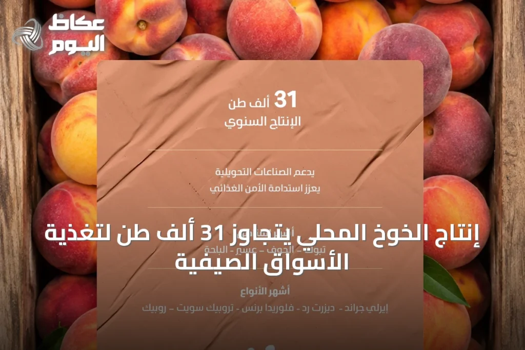 إنتاج الخوخ المحلي يتجاوز 31 ألف طن لتغذية الأسواق الصيفية