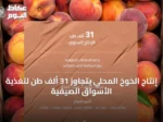 إنتاج الخوخ المحلي يتجاوز 31 ألف طن لتغذية الأسواق الصيفية
