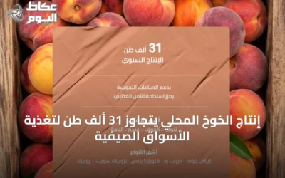 إنتاج الخوخ المحلي يتجاوز 31 ألف طن لتغذية الأسواق الصيفية