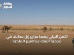 الأمن البيئي يضبط مزارع إبل مخالف في محمية الملك عبدالعزيز الملكية
