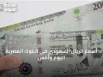 أسعار الريال السعودي في البنوك المصرية اليوم وأمس