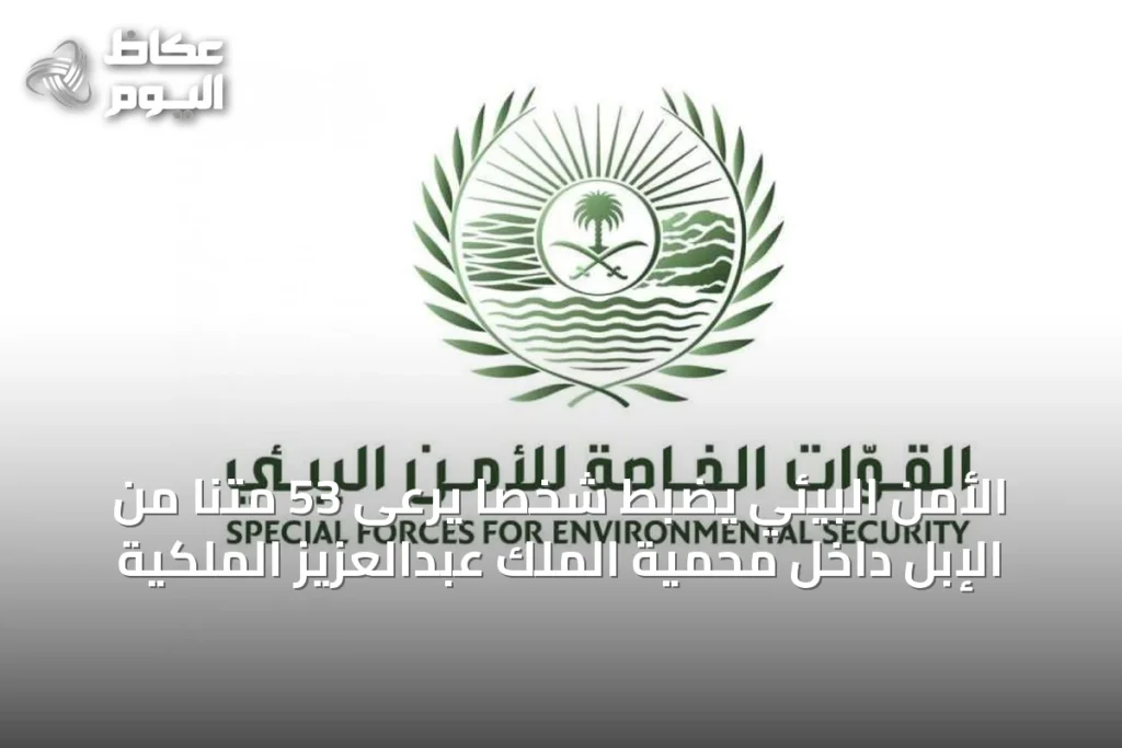 الأمن البيئي يضبط شخصًا يرعى 53 متنًا من الإبل داخل محمية الملك عبدالعزيز الملكية