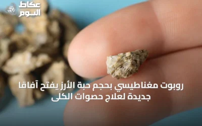 روبوت مغناطيسي بحجم حبة الأرز يفتح آفاقاً جديدة لعلاج حصوات الكلى