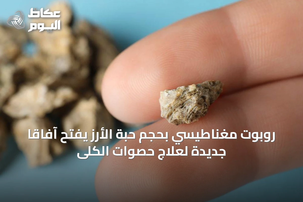 روبوت مغناطيسي بحجم حبة الأرز يفتح آفاقاً جديدة لعلاج حصوات الكلى