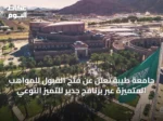 جامعة طيبة تعلن عن فتح القبول للمواهب المتميزة عبر برنامج جدير للتميز النوعي