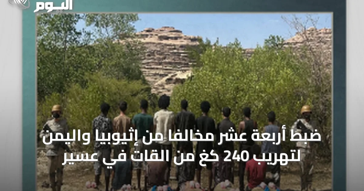 ضبط أربعة عشر مخالفًا من إثيوبيا واليمن لتهريب 240 كغ من القات في عسير