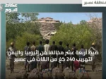 ضبط أربعة عشر مخالفًا من إثيوبيا واليمن لتهريب 240 كغ من القات في عسير