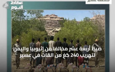 ضبط أربعة عشر مخالفًا من إثيوبيا واليمن لتهريب 240 كغ من القات في عسير