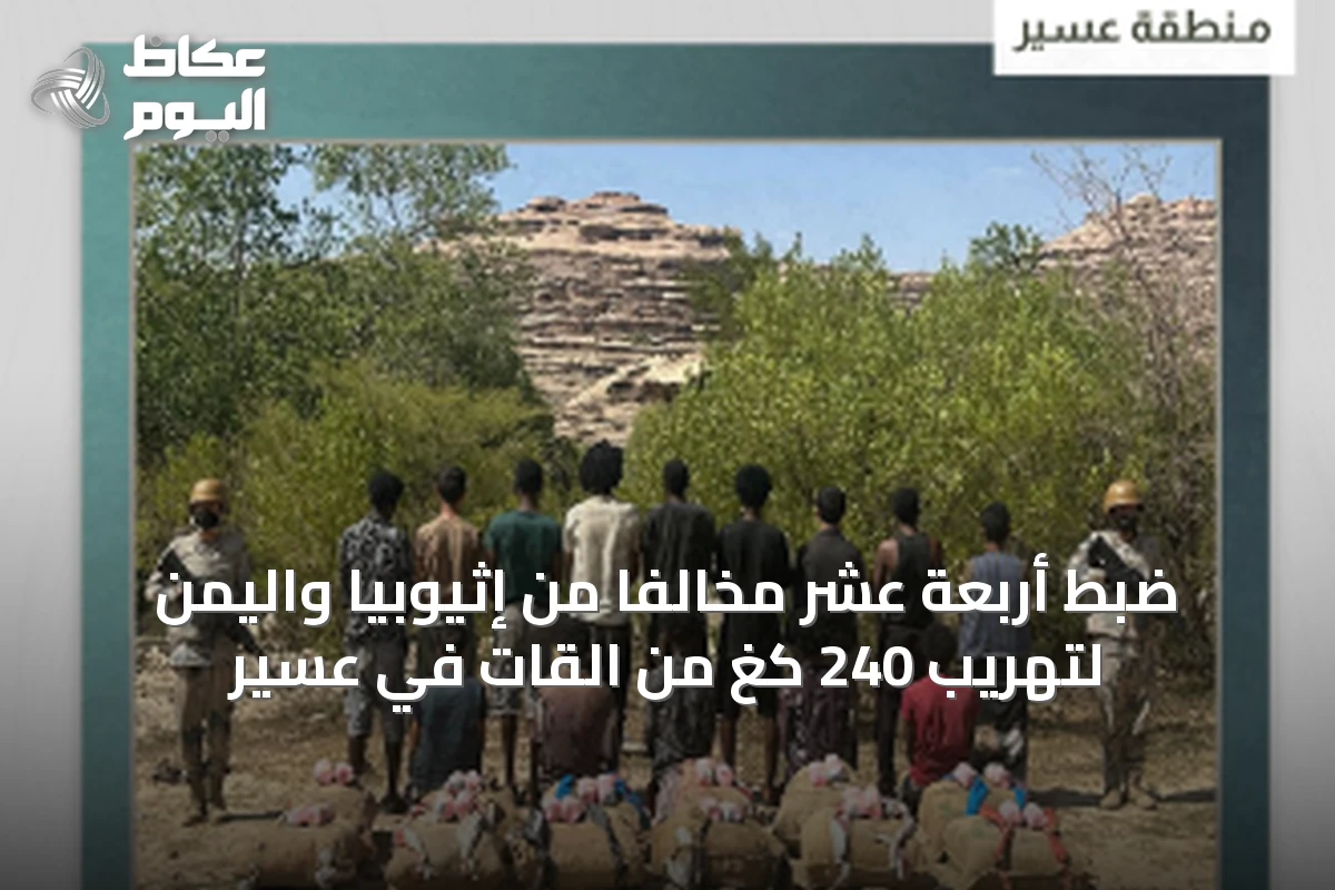 ضبط أربعة عشر مخالفًا من إثيوبيا واليمن لتهريب 240 كغ من القات في عسير
