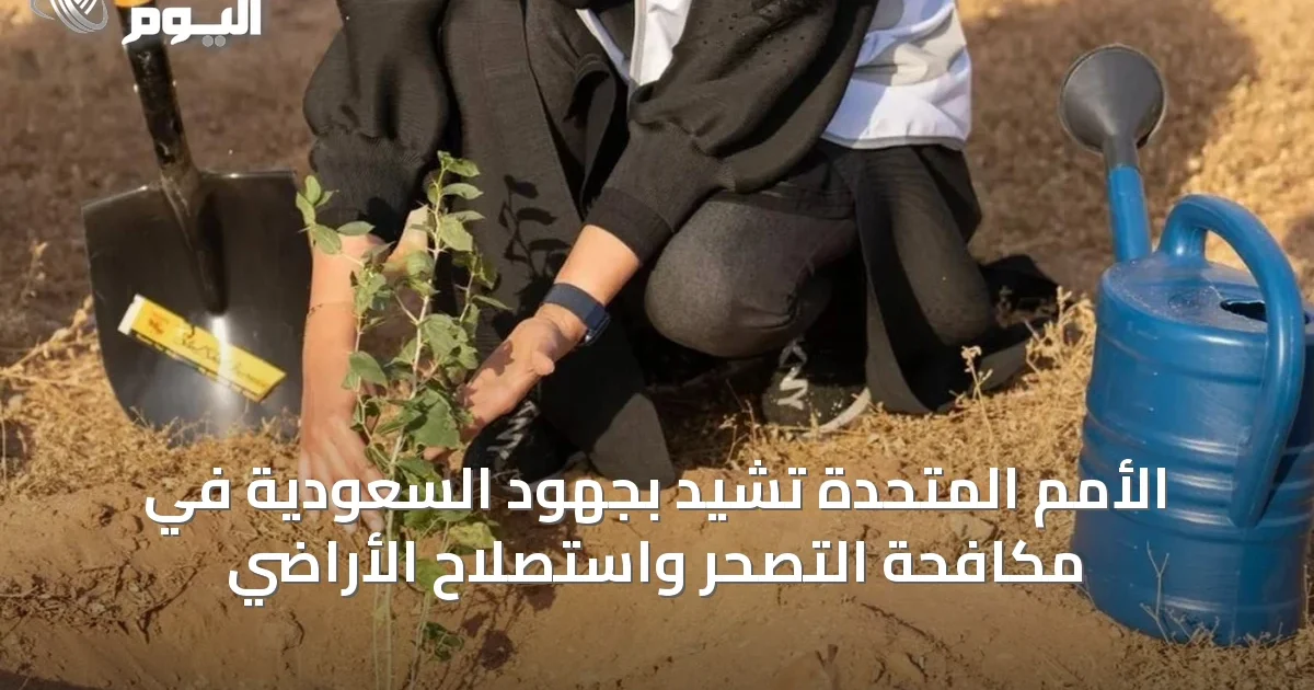 الأمم المتحدة تشيد بجهود السعودية في مكافحة التصحر واستصلاح الأراضي