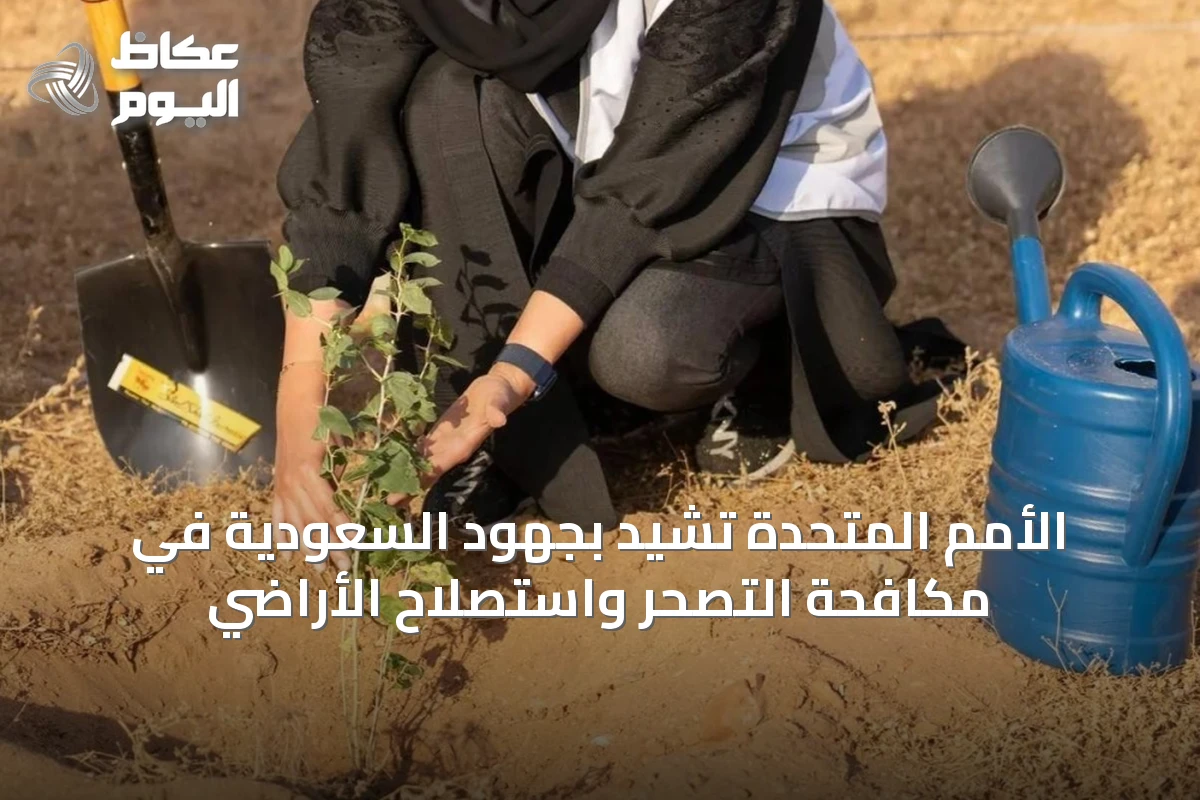 الأمم المتحدة تشيد بجهود السعودية في مكافحة التصحر واستصلاح الأراضي