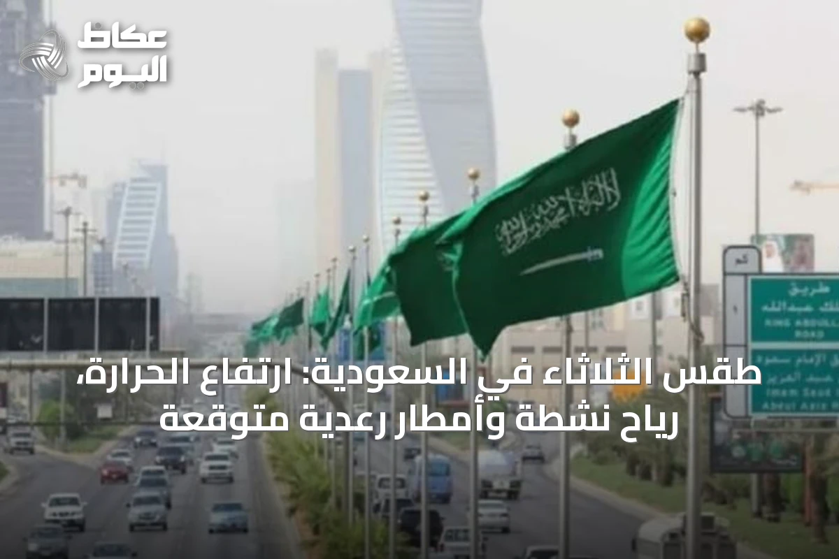 طقس الثلاثاء في السعودية: ارتفاع الحرارة، رياح نشطة وأمطار رعدية متوقعة