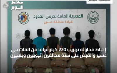 إحباط محاولة تهريب 220 كيلوغراماً من القات في عسير والقبض على ستة مخالفين إثيوبيين ويمنيين