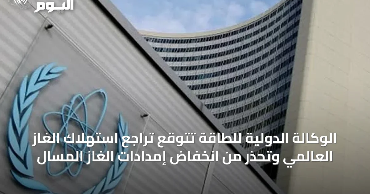 الوكالة الدولية للطاقة تتوقع تراجع استهلاك الغاز العالمي وتحذر من انخفاض إمدادات الغاز المسال