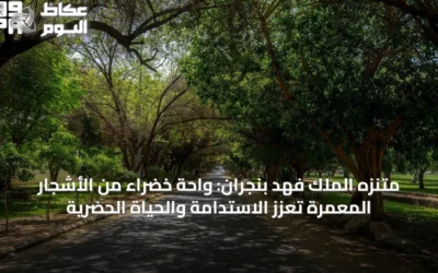 متنزه الملك فهد بنجران: واحة خضراء من الأشجار المعمرة تعزز الاستدامة والحياة الحضرية