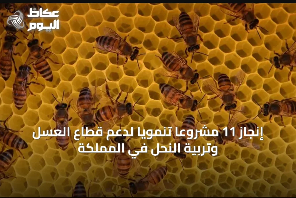إنجاز 11 مشروعاً تنموياً لدعم قطاع العسل وتربية النحل في المملكة
