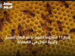 إنجاز 11 مشروعاً تنموياً لدعم قطاع العسل وتربية النحل في المملكة