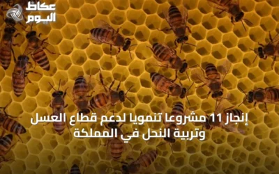 إنجاز 11 مشروعاً تنموياً لدعم قطاع العسل وتربية النحل في المملكة