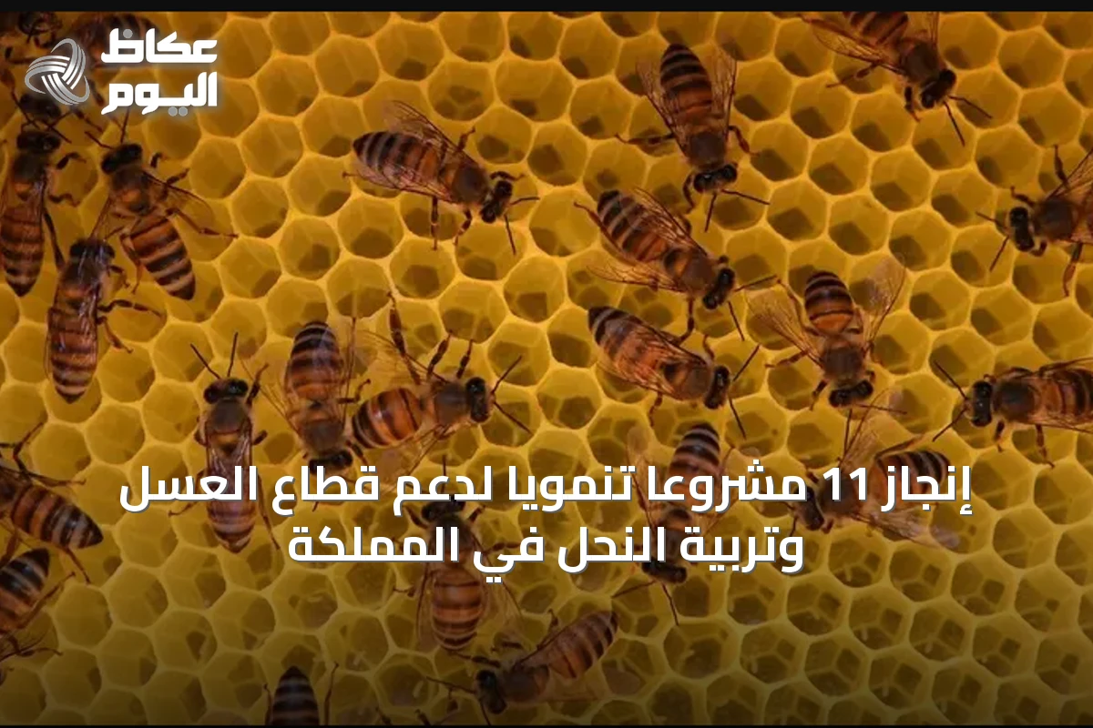 إنجاز 11 مشروعاً تنموياً لدعم قطاع العسل وتربية النحل في المملكة