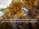 فرع وزارة البيئة والمياه والزراعة بالقصيم يعلن عن انطلاق مبادرة خرف النخيل لموسم 2026 برعاية الأمير