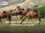 التقارير البيئية لعام 2025 تظهر تفوق القصيم في عدد البلاغات