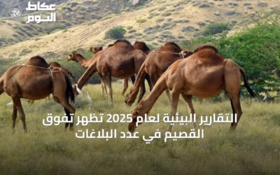 التقارير البيئية لعام 2025 تظهر تفوق القصيم في عدد البلاغات