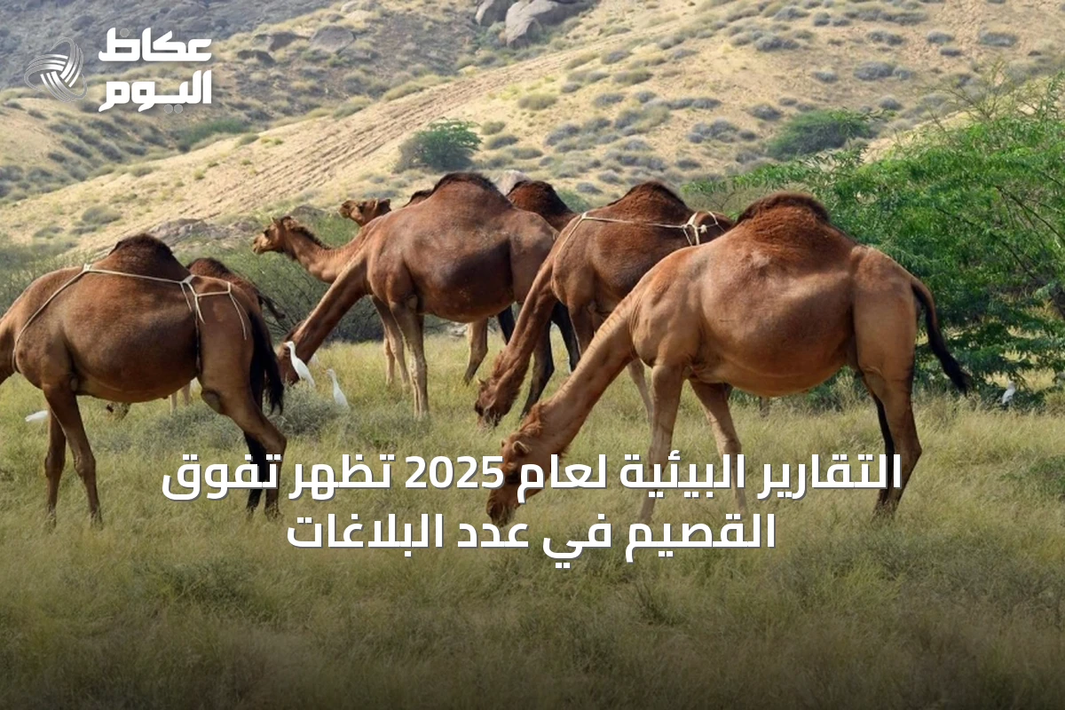 التقارير البيئية لعام 2025 تظهر تفوق القصيم في عدد البلاغات