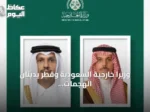 وزيرا خارجية السعودية وقطر يدينان الهجمات الإيرانية ويحذران من تهديدات مضيق هرمز